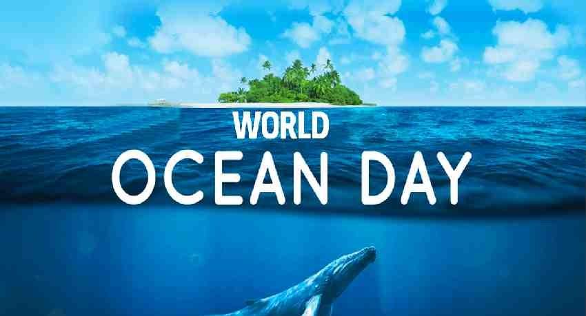 World Ocean Day: 8.8 million tons of plastic ends up in the world oceans each year